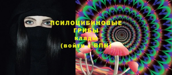 гидра Алзамай